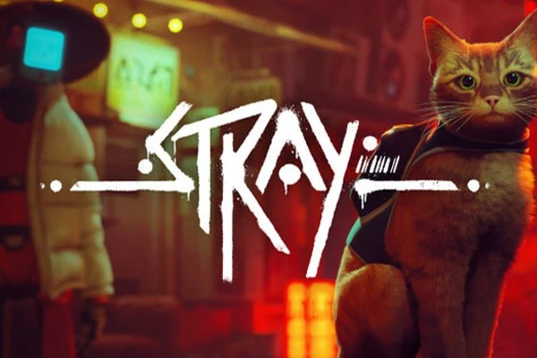 Stray